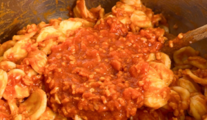 Orecchiette al ragù di soia